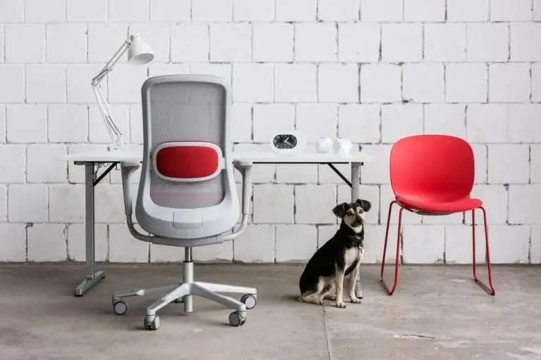 hag-sofi-looking-good-in-office
