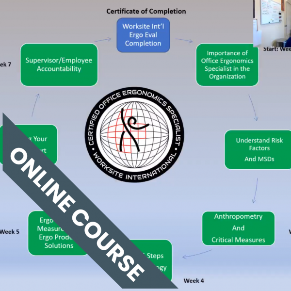 Ergonomics Training Course Review - Train The Ergonomics Evaluator