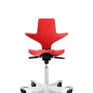 Hag Capisco Versatile Office Chair