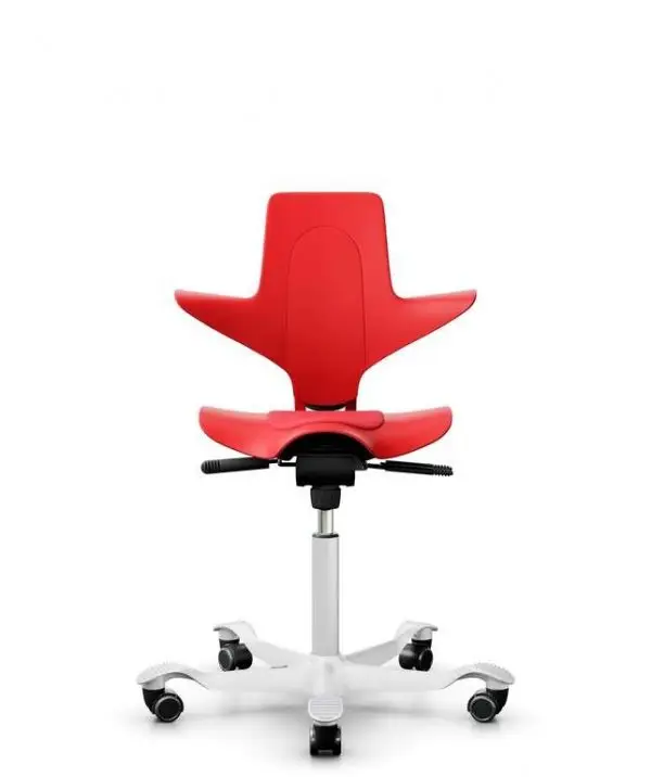 Hag Capisco Versatile Office Chair