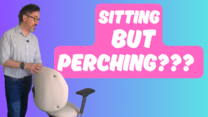 Ergochair Zenki Sit-Stand Review