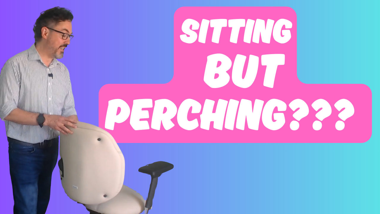 Ergochair Zenki Sit-Stand Review